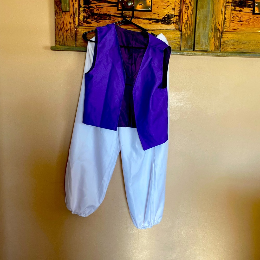 Adults man size L Aladin Costume